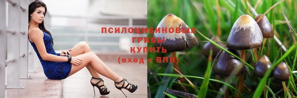 прущая мука Бородино