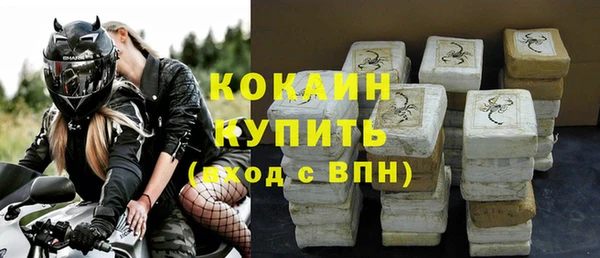 стаф Тында